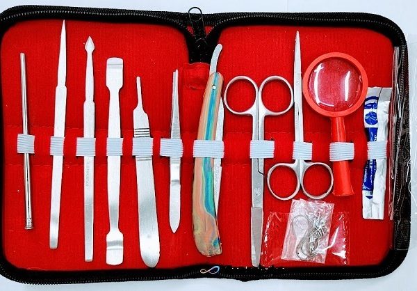 Dissection Box For Biology Laboratory-12 Pcs